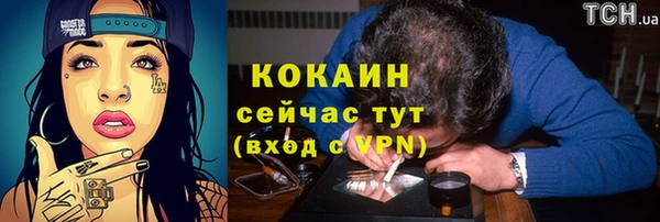 гидра Богородицк